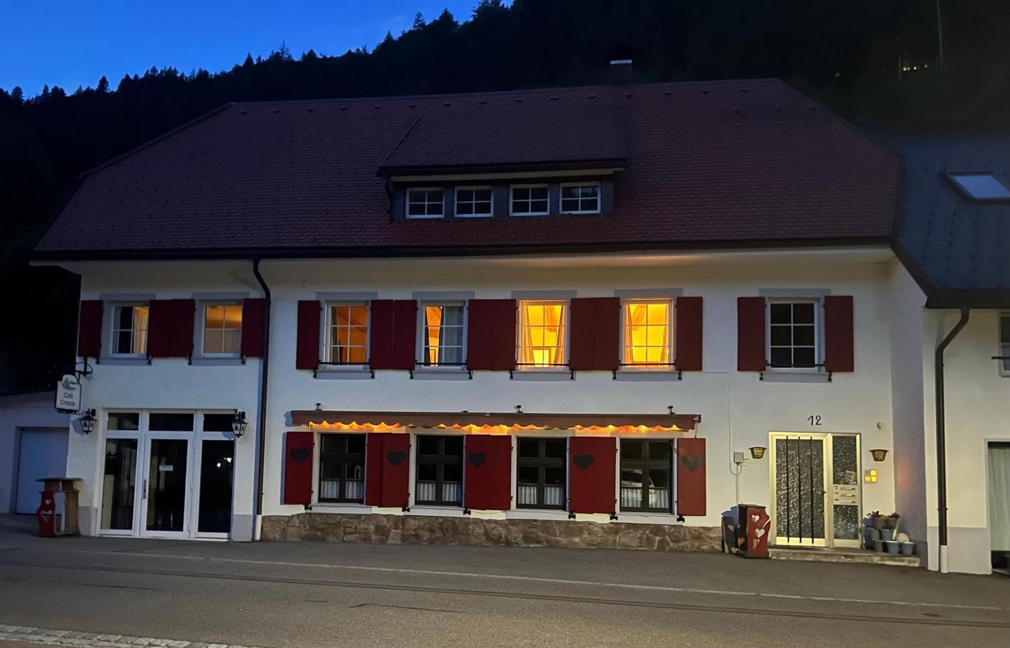 Forest Apartment-Mountain Escape Menzenschwand سانت بلاسين المظهر الخارجي الصورة