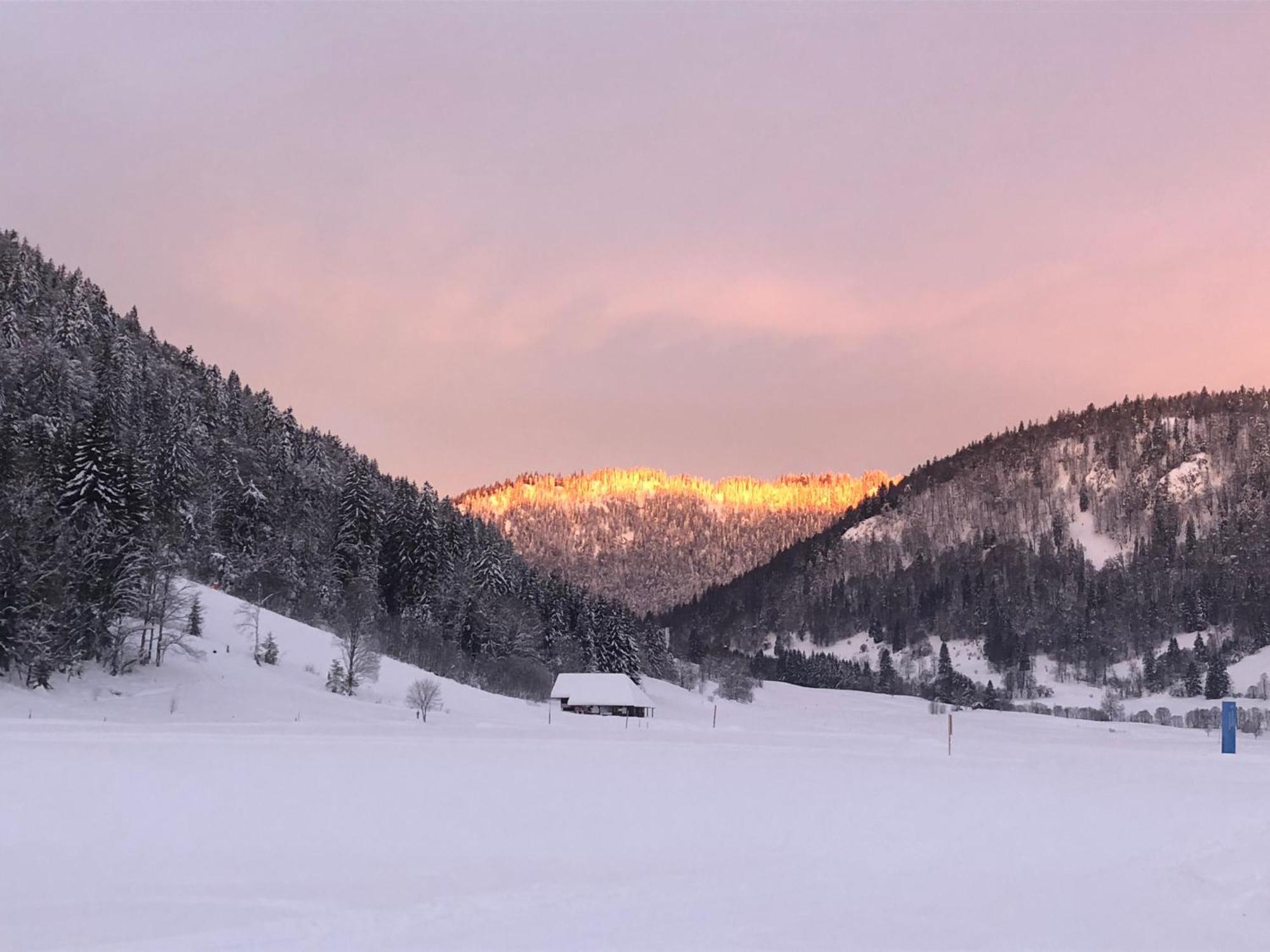 Forest Apartment-Mountain Escape Menzenschwand سانت بلاسين المظهر الخارجي الصورة