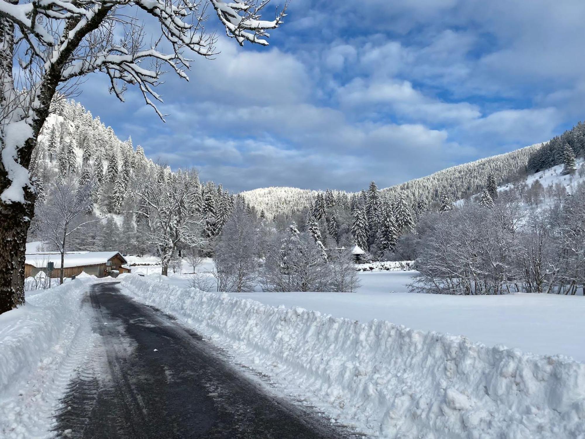 Forest Apartment-Mountain Escape Menzenschwand سانت بلاسين المظهر الخارجي الصورة