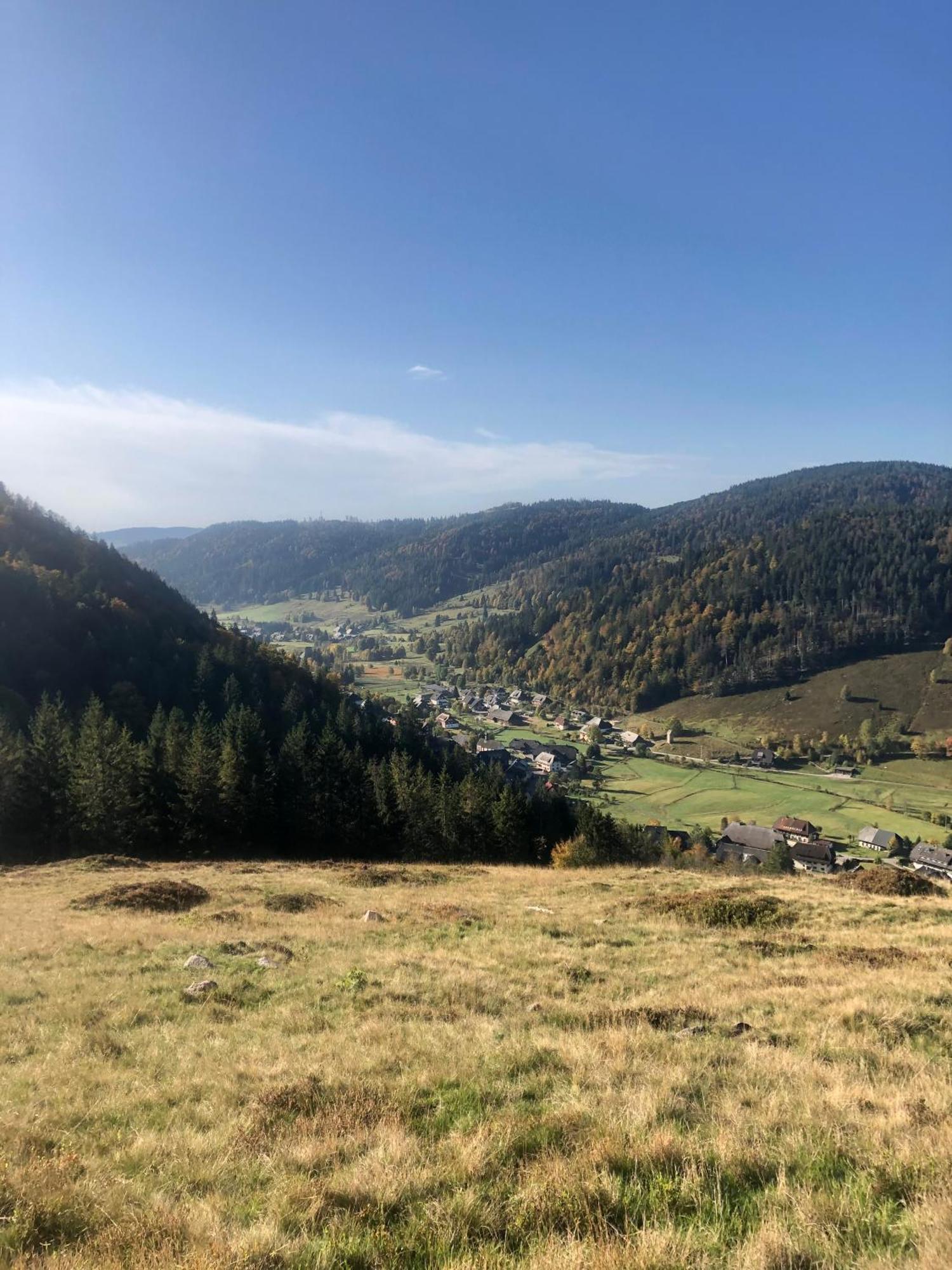Forest Apartment-Mountain Escape Menzenschwand سانت بلاسين المظهر الخارجي الصورة